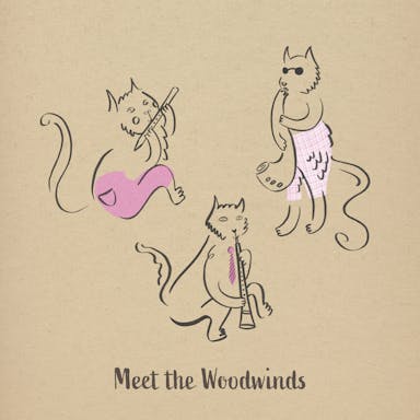 Meet The Woodwinds album artwork