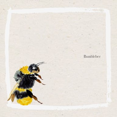 Bumblebee album artwork