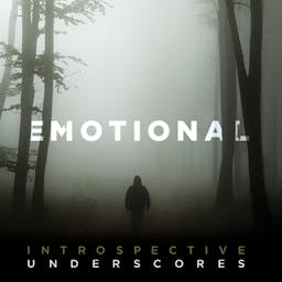 Emotional, Introspective Underscores album artwork