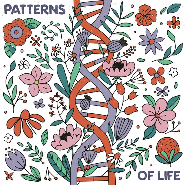Patterns Of Life