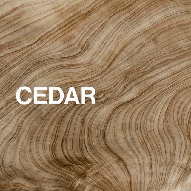 Cedar