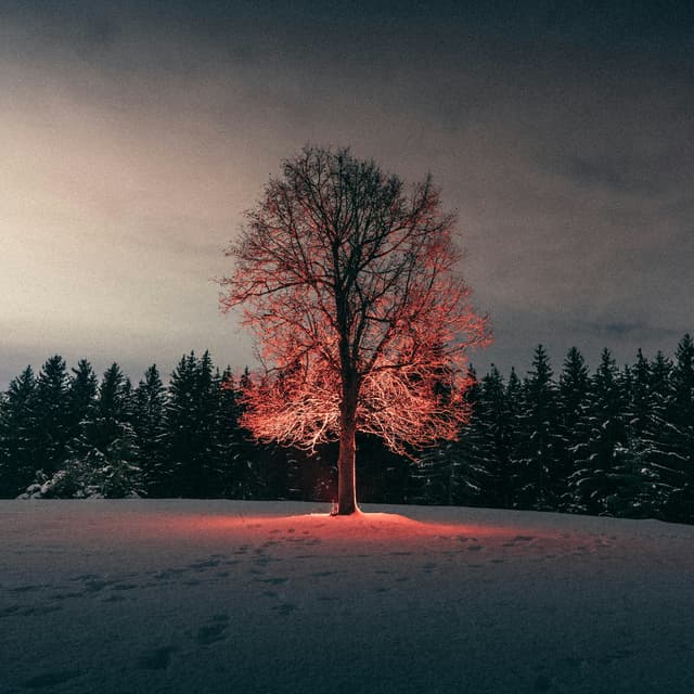 Fresh & Uplifting Sound Design