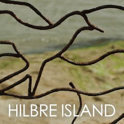Hilbre Island album artwork