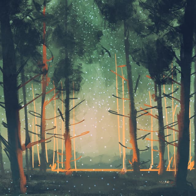 Indie Folk Transitions