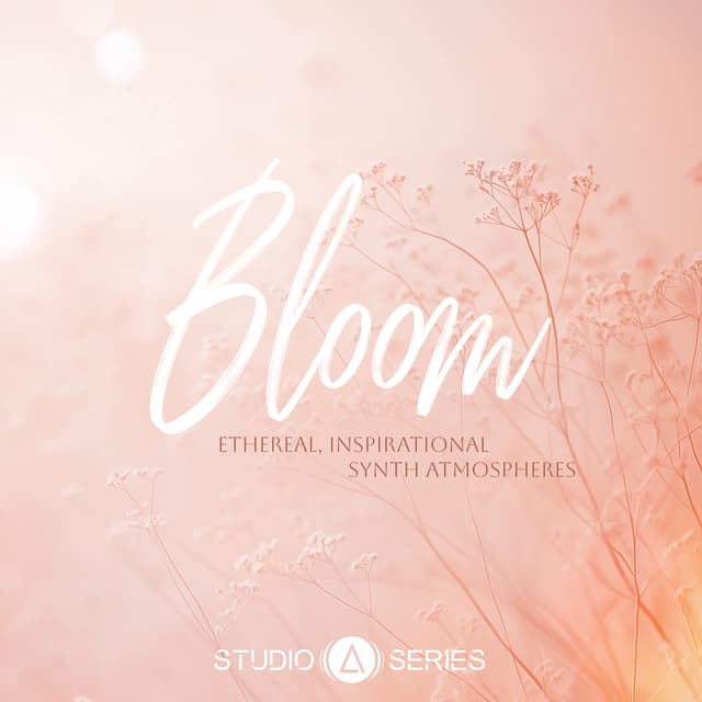 Bloom